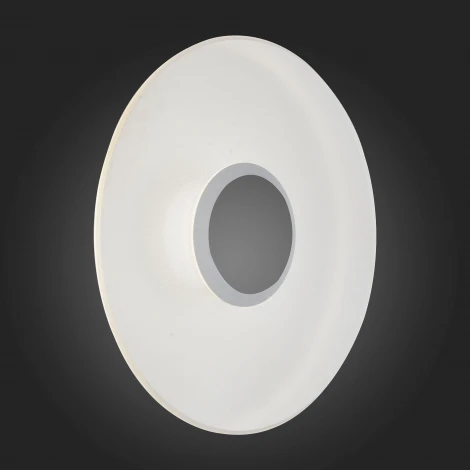 Настенный светильник уличный ST Luce Sotti SL925.501.01