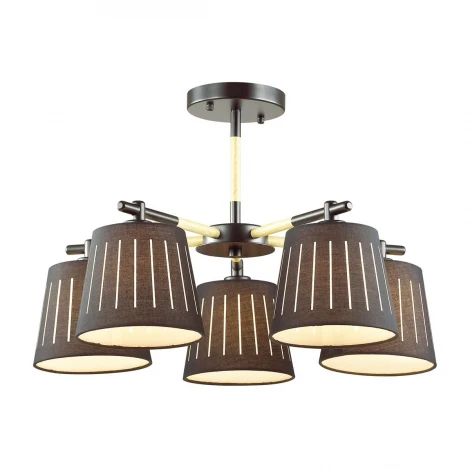 Потолочная люстра Odeon Light Nicola 4110/5