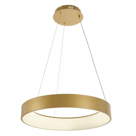 Подвесной светодиодный светильник MyFar Shannon MR2192-1PL (220V, пульт управления, на тросе, круглые, IP40)