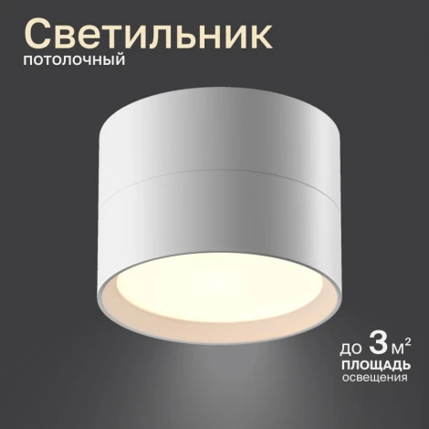 Потолочный светильник Nuvolt Bein LDL-006W