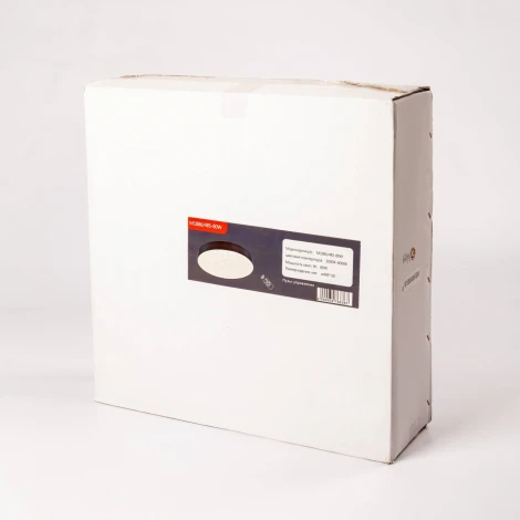 Настенно-потолочный светильник Мелодия Света CW1L 000024758