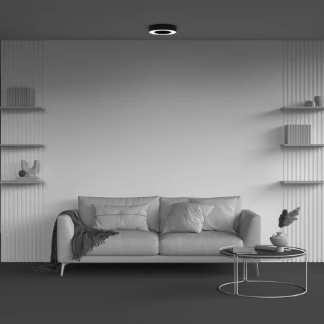 Потолочный светильник круглый светодиодный Maytoni Lua C093CL-24W4K-B (220V, круглые)