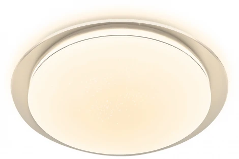 Потолочный светильник круглый светодиодный Ambrella Orbital FZ1048 (220V, круглые)