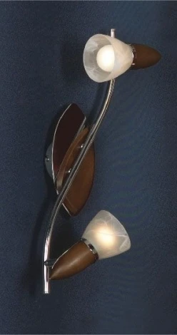 Настенный светильник Lussole Cisterino LSQ-6401-02
