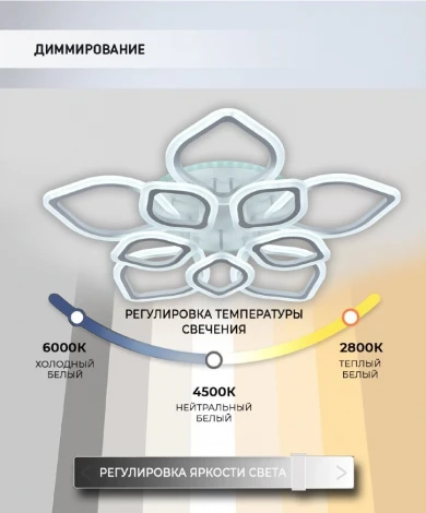 Потолочная люстра Seven Fires Feri SF5029/11C-WT-RGB