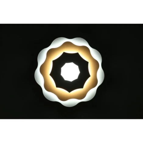 Настенный светильник Omnilux 79 OML-07901-26 (LED, 220V, цветы)