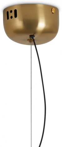 Подвесной светильник Freya Borbon FR5442PL-L11GN (LED, 220V, на тросе, круглые)