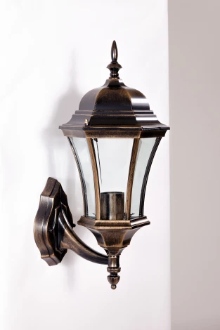 Настенный фонарь уличный Oasis Light Astoria 1 L Bg 91301L