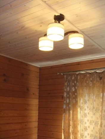 Потолочная люстра Дубравия Наталья 196-52-13