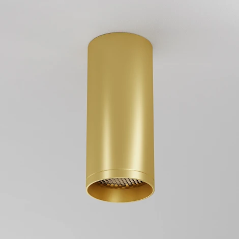 Потолочный светильник Maytoni Technical Focus C010CL-01MG-N