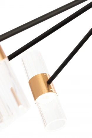 Потолочная люстра Freya Mia FR6038CL-L80B