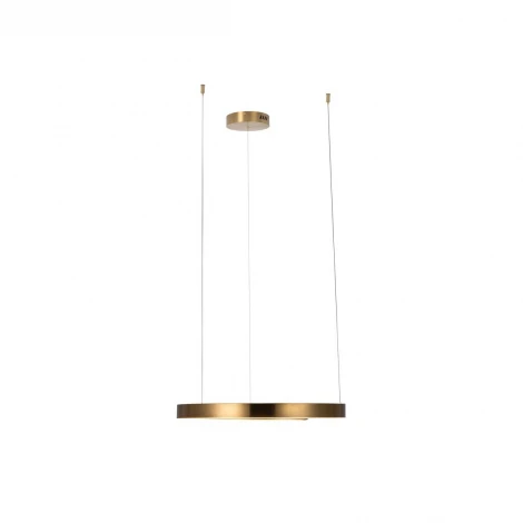 Подвесной светильник Loft IT Ring 10013M (LED, 220V, на тросе, кольцо)