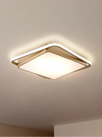 Потолочный светильник Freya Yaku FR10026CL-L93G