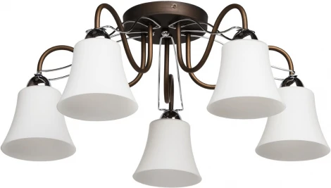 Потолочная люстра MW-Light Альфа 324013105