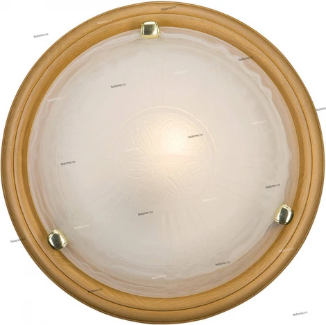 Sonex Provence 167