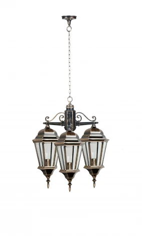 Уличный светильник подвесной Oasis Light ASTORIA 2 91470L/3 cover Gb (220V, на цепи, IP44)