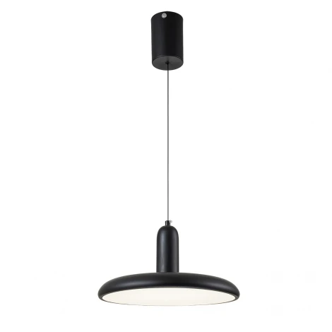 Подвесной светильник Escada 10230/1LED 18W Black