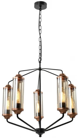 Подвесная люстра Lussole Fishers LSP-8800 (220V, на цепи)