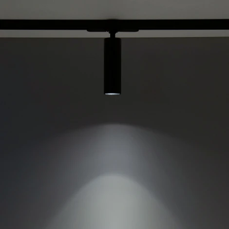 Трековый светильник Citilux Тубус CL01T071N (LED, 220V, круглые)