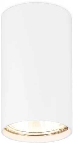 Точечный накладной светильник TECHNO SPOT TN213133 (220V)