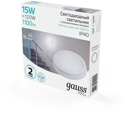 Настенно-потолочный светильник Gauss Hall 193411215-S