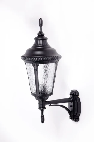 Настенный фонарь уличный Oasis Light Munich 2 S 79751