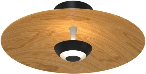 Настенный светильник Favourite Rueda 4290-1W (LED, 220V, круглые)