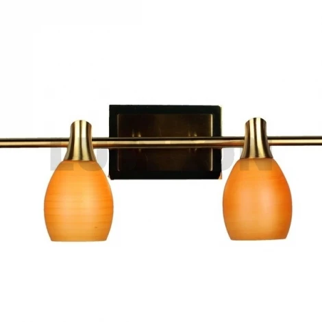 Спот Omnilux OML-217 OML-21701-04