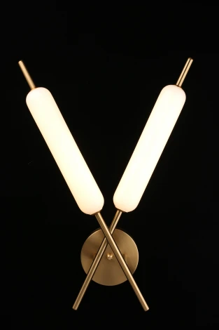 Бра Aployt Carla APL.010.01.16 (LED, 220V)