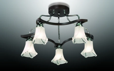 Потолочная люстра Odeon Light Iwo 2237/5C