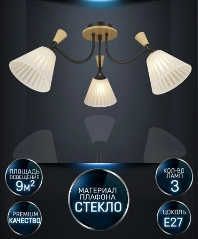 Потолочная люстра Wedo Light Vestmar WD3577/3C-BK-WT