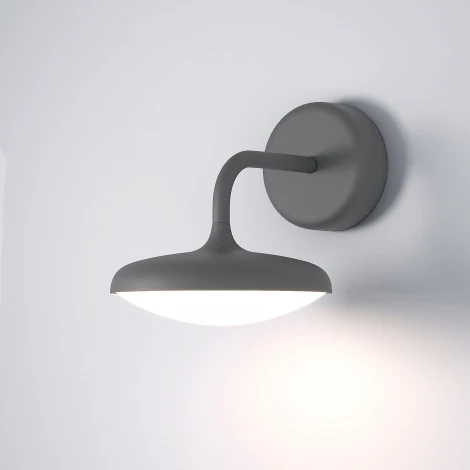 Уличный настенный светильник светодиодныйElektrostandard Portal 35162/D (220V, круглые, IP54)