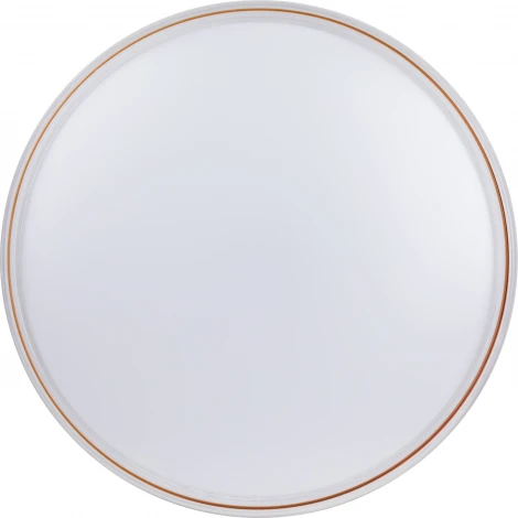 Потолочный светильник круглый светодиодный с пультом регулировкой цветовой температуры и яркости ЭРА SPB-6-80-RC Solar (220V, круглые)