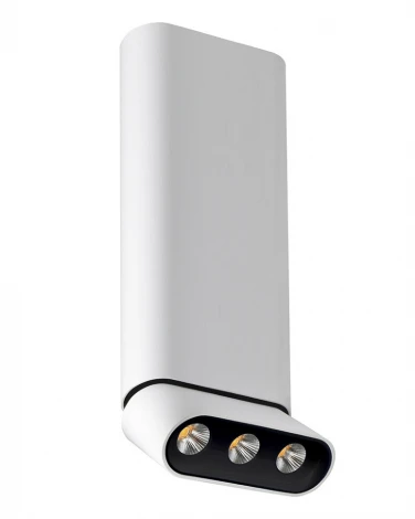 Спот Lumien Hall Фергус 8005/3CL-WT-BK