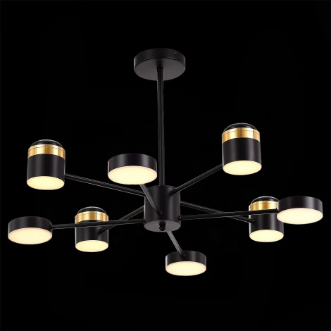 Потолочная люстра на штанге Evoluce Tezze SLE6007-402-08