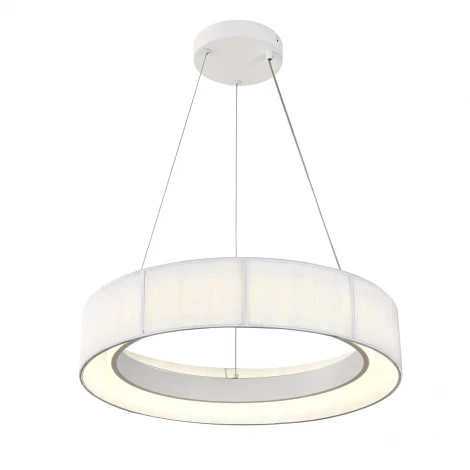 Подвесной светильник светодиодный с пультом и ночным режимом Indigo Luminosa V000209L (13041/B/1P White)