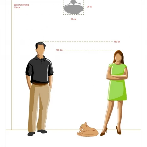 Потолочный светильник Chiaro Айвенго 382016503