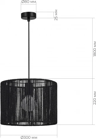 Подвесной светильник Evoluce Ettan SLE6024-403-01 черный/черный E27 1*40W (220V, на проводе, круглые)