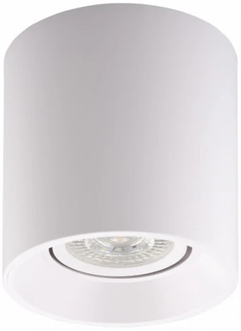 Накладной точечный светильник Denkirs DK3040-WH (220V, круглые)