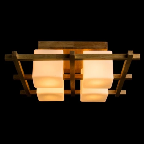 Потолочный светильник Arte Lamp Woods A8252PL-4BR