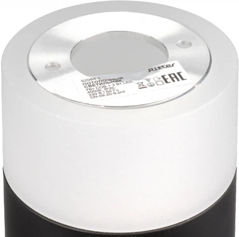 Накладной светильник Ritter Kassel 52064 1