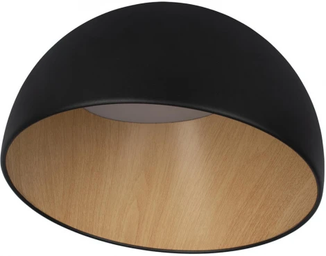 Потолочный светильник круглый Loft It Egg 10197/350 Black (LED, 220V, круглые)