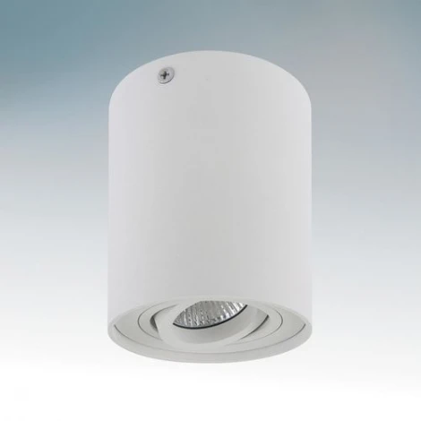 Потолочный светильник круглый Lightstar Binoco 052016 (220V)