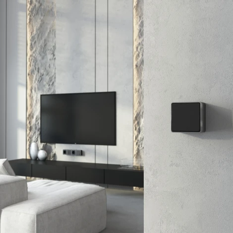 Выключатель одноклавишный проходной Gallant Werkel W5012034 (черный с серебром)