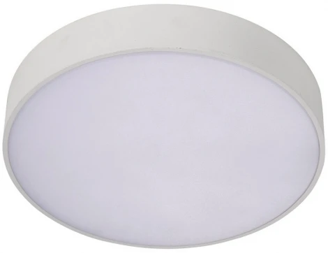 Потолочный светильник круглый Aployt Evon APL.0113.09.12 (LED, 220V, круглые)