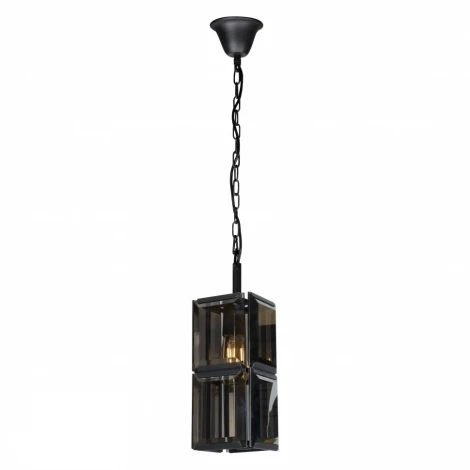 Подвесной светильник iLamp Panorama 10490-1P (220V, на цепи)