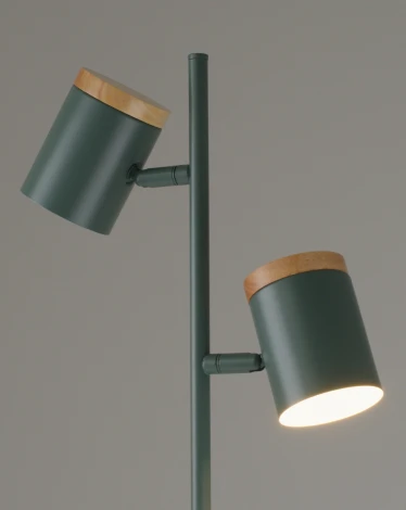 Торшер с выключателем Moderli Asheswood V11290-2F (220V)