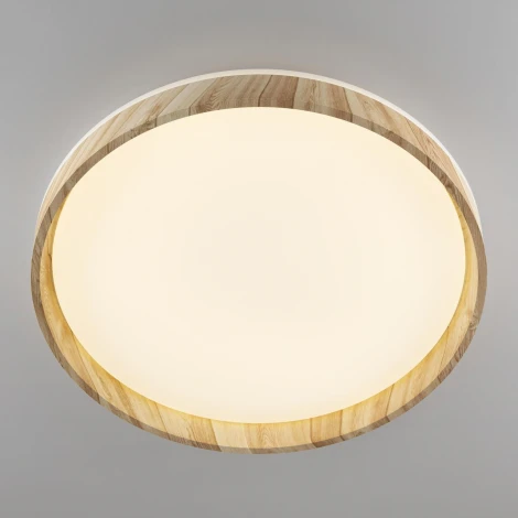 Потолочный светильник RGB круглый светодиодный с пультом Citilux Enzo CL753452G (220V, круглые)