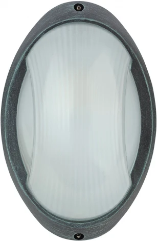 Уличный настенный светильник Oasis Light SIDNEY 10808 V (220V, IP44)