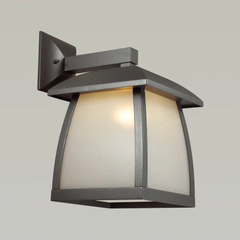 Настенный фонарь уличный Odeon Light Tako 4050/1W